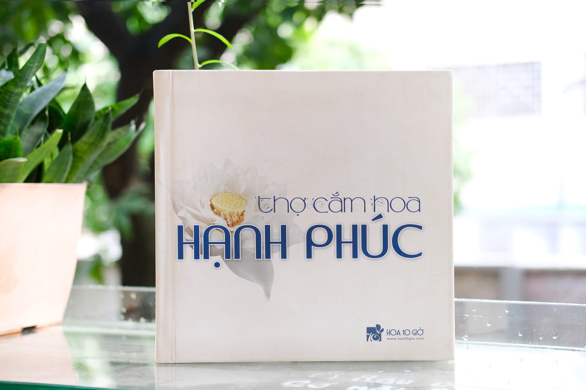 Hành trình của “Những bông hoa chân thật” - ảnh 2