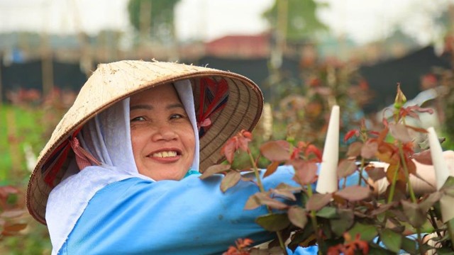 Làng hoa huyện Mê Linh hối hả chuẩn bị cho ngày Quốc tế Phụ nữ