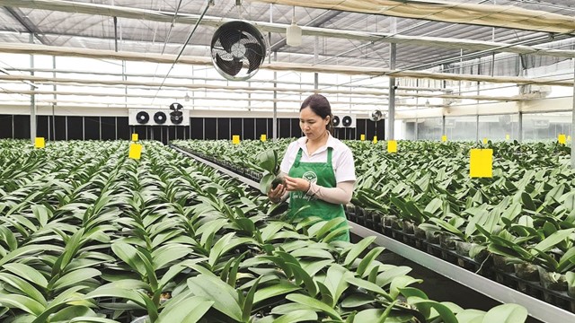 “Số hóa” bắt đầu từ những điều giản dị