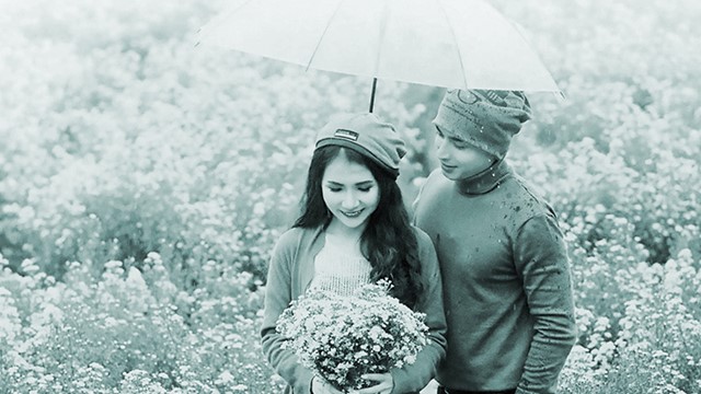 Hỏi mình trước lúc buông tay