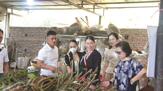 Phát triển và bảo tồn bản sắc ở vùng đồng bào dân tộc thiểu số