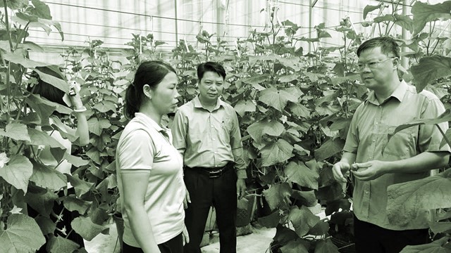 “Dám nghĩ, dám làm” tạo đột phá cho Hà Nội