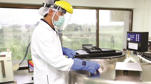 Lưu trữ tế bào gốc