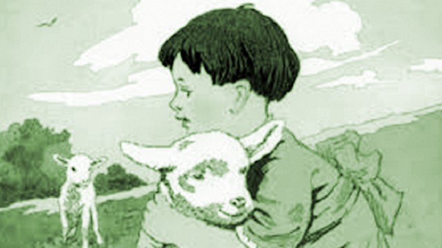 Tiểu Hắc và Tiểu Bạch