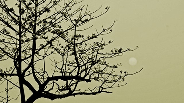 Chạm vào tháng Chạp