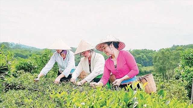 Sắp diễn ra Triển lãm sản phẩm thủ công mỹ nghệ phục vụ Xuân Bính Ngọ 2026 tại xã Suối Hai