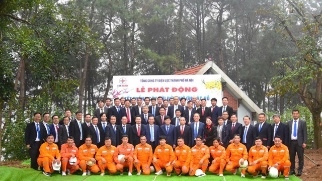 Tổng Công ty Điện lực Hà Nội phát động “Tết trồng cây”