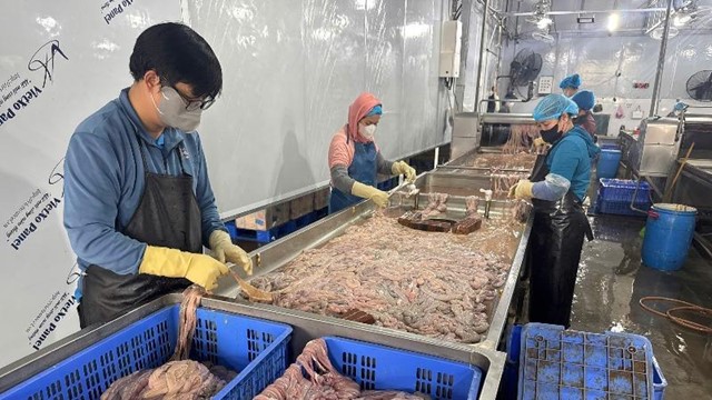 Hà Nội phát hiện kho lạnh với gần 60 tấn lòng lợn không rõ nguồn gốc