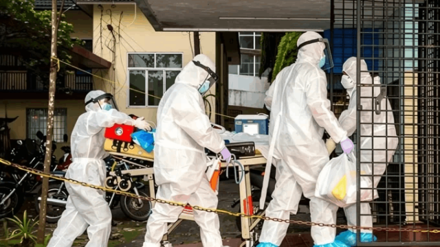 WHO xác nhận ca tử vong do nhiễm virus Nipah