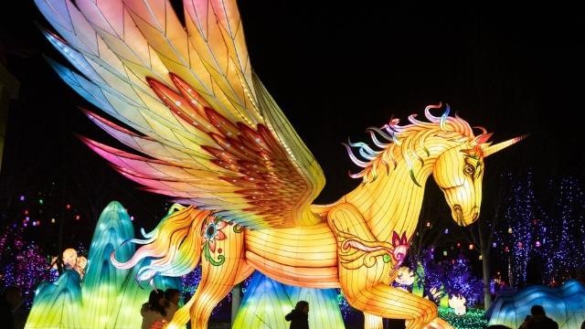 Châu Á rộn ràng đón Xuân Bính Ngọ 2026