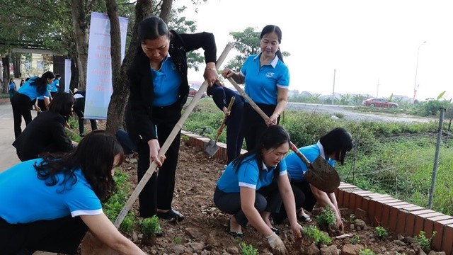 Năm 2026 trên địa bàn toàn thành phố Hà Nội sẽ trồng mới hơn 400.000 cây xanh các loại