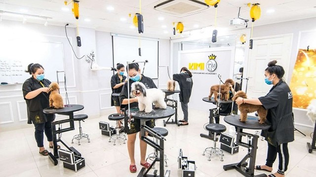 “Độc lạ” đằng sau nghề chăm sóc thú cưng