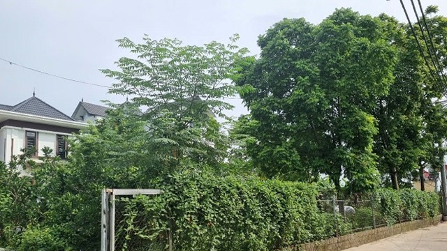 “Hô biến” hơn 660m2 đất công thành đất tư, chính quyền xã làm ngơ?