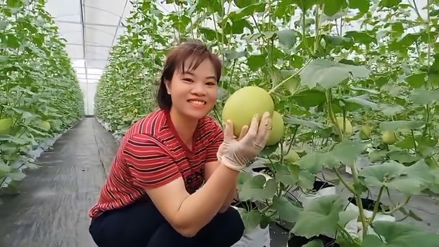 Tấm gương phụ nữ sáng tạo, nhiệt huyết sản xuất nông nghiệp sạch