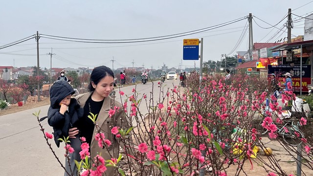 Người dân tấp nập mua sắm ngày 29 Tết, trái cây ngũ quả hút hàng