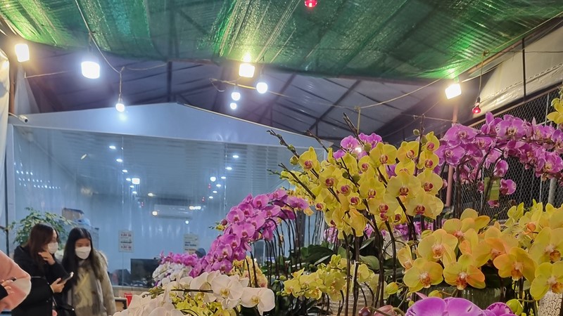 Chợ hoa vắng khách ngày giáp Tết
