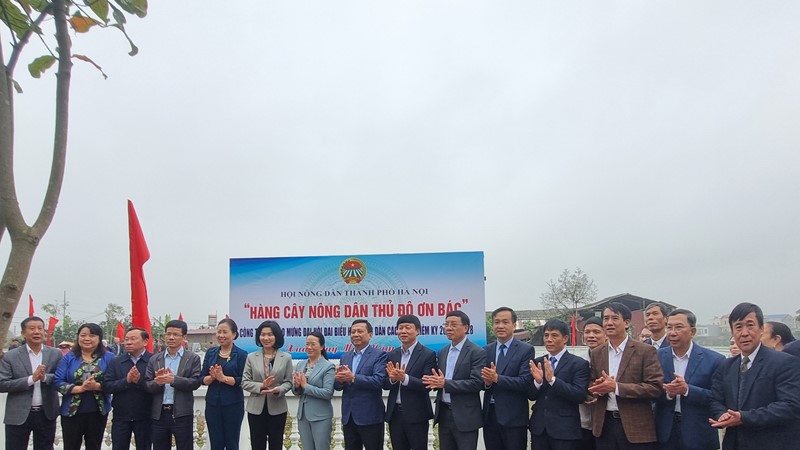Năm 2023: Hội Nông dân TP Hà Nội phấn đấu trồng mới 15.000 cây xanh