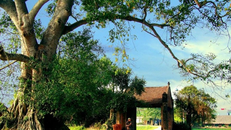  6 tháng đầu năm lượng khách du lịch đến Hà Nội ước đạt 15,56 triệu lượt 