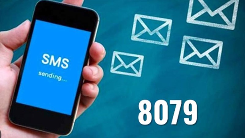 BHXH Việt Nam dừng triển khai tin nhắn tra cứu đến đầu số 8079