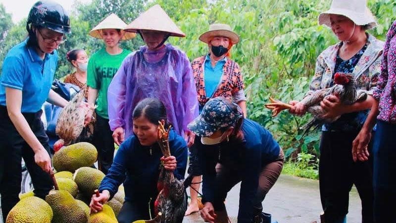 Phụ nữ Đan Phượng chung sức cùng nhân dân khắc phục thiệt hại bão số 3