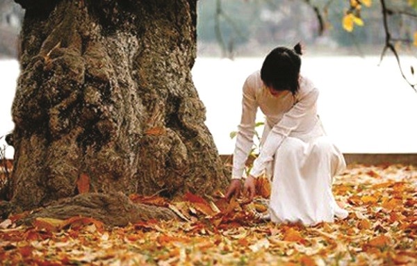 Gõ cửa ngày sang thu