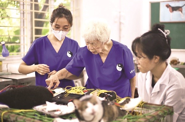 Đón Tết ở phòng châm cứu thú y cộng đồng