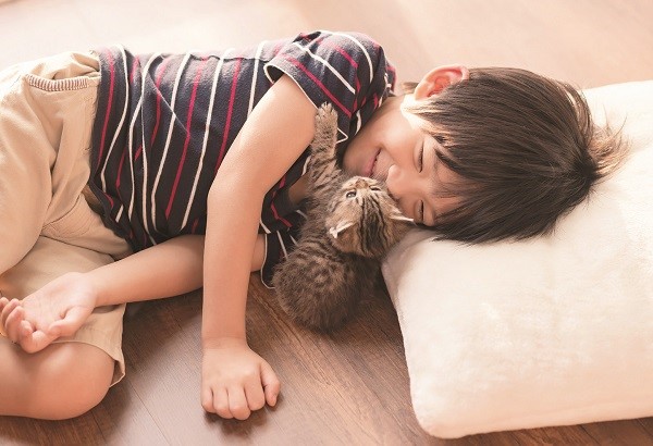 Năm Quý Mão nói chuyện mèo