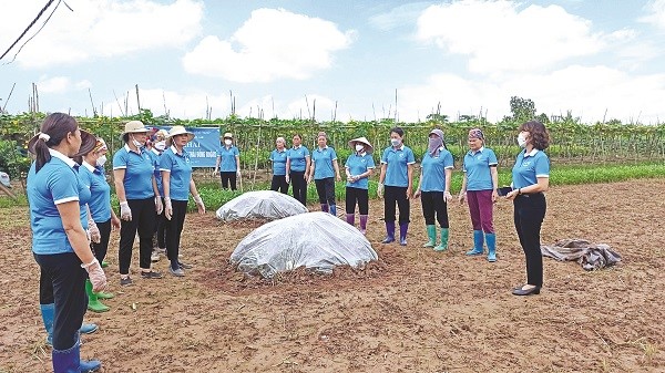 Nhân rộng các mô hình góp phần xây dựng nông thôn mới nâng cao, kiểu mẫu