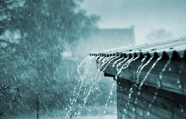 Con đường về nhòe cơn mưa hạ 