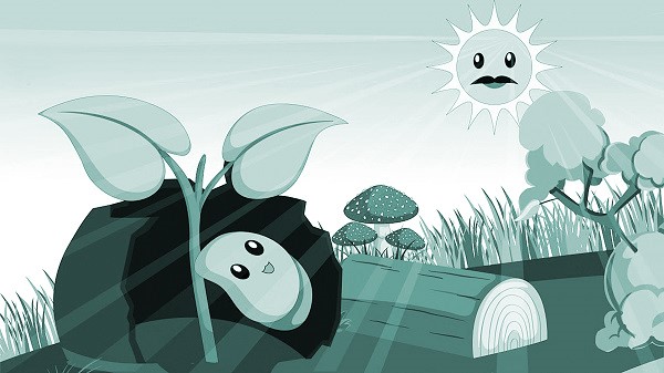 Câu chuyện của chiếc lá