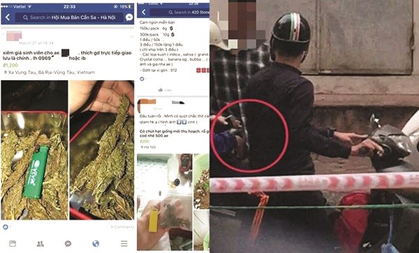 Gia đình, nhà trường là lá chắn phòng vệ tốt nhất