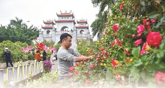 Kết nối để khai thác tiềm năng du lịch Mê Linh