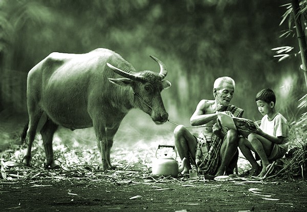 Hãy cùng ông bà đi thật nhiều nơi