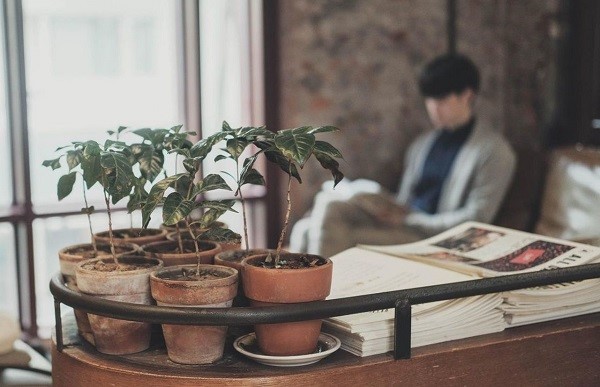 Sống tối giản... cho đời thanh thản