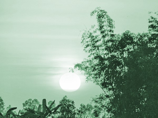 Hương chiều