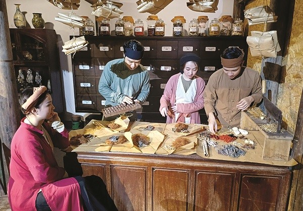 Giữ nghề thuốc Nam ở phố Lãn Ông