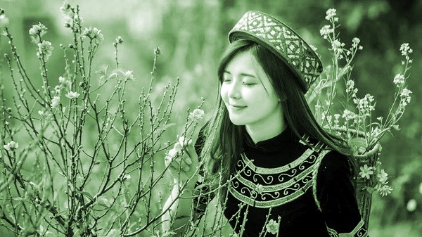 Gái bản tôi