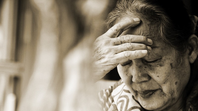 Cháu mới là người có lỗi