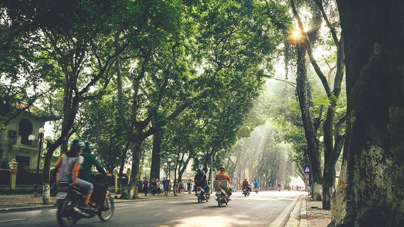 Cây xanh và những mùa hoa Hà Nội