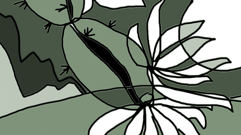 Hoa vàng bay trong gió