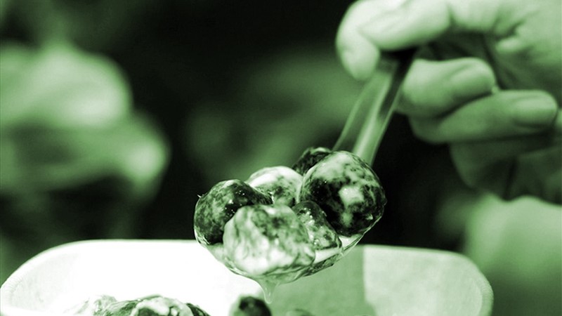 Chớm đông nhớ bát chè khoai sọ của ngoại