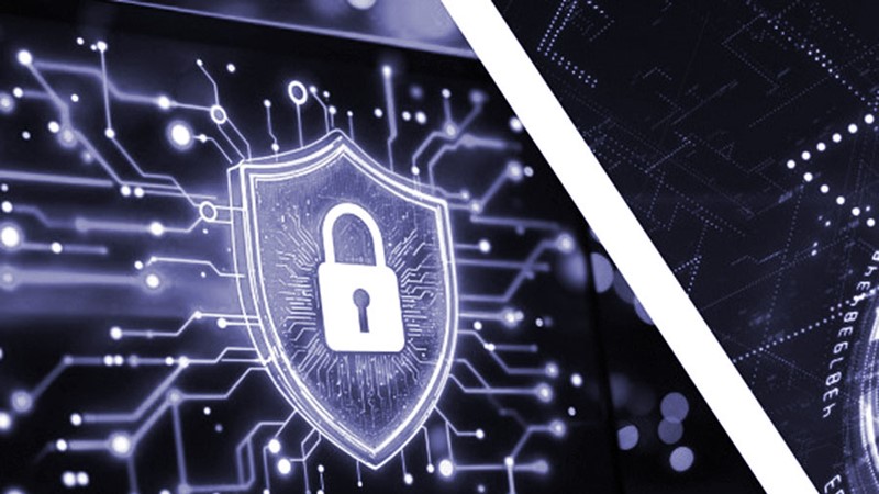 Bẫy lừa từ website giả danh 