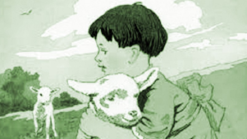 Tiểu Hắc và Tiểu Bạch