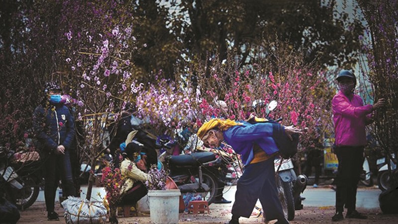 Mong xuân để về