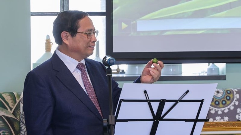 Thủ tướng kỳ vọng đột phá hợp tác kinh tế nông nghiệp với New Zealand