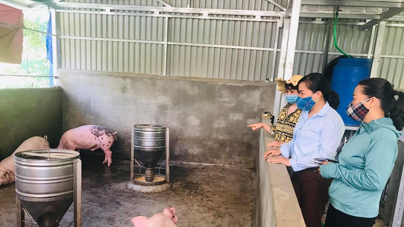 Phụ nữ dân tộc Bảo Yên vươn lên làm giàu từ Chương trình mục tiêu quốc gia
