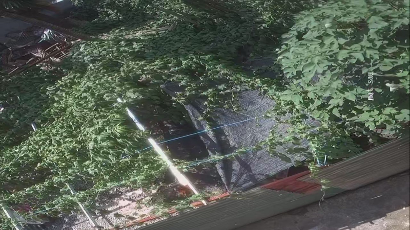 Niềm tin của một phụ nữ trước phiên sơ thẩm vụ án “tranh chấp đòi quyền sử dụng đất” ở Thanh Trì