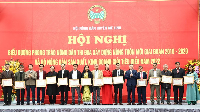 Biểu dương 119 hộ nông dân sản xuất, kinh doanh giỏi tiêu biểu huyện Mê Linh năm 2022