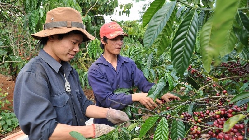Phát triển công nghiệp chế biến, nâng tầm giá trị nông sản