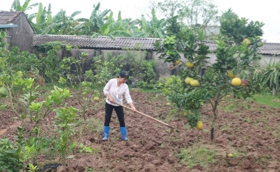 Chuyện người phụ nữ nghị lực, thoát nghèo nhờ vốn Hội